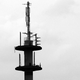 Image for article titled Wireless Oligopoly Is Smother of Invention